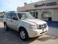 2008 Light Sage Metallic Ford Escape XLT V6  photo #2