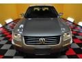 Stonehenge Grey Metallic - Passat GLX 4Motion Sedan Photo No. 2