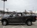 Dark Stone Metallic - F150 XLT SuperCrew 4x4 Photo No. 6