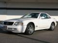 Glacier White - SL 500 Roadster Photo No. 1