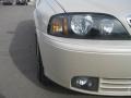 Ivory Parchment Metallic - LS V8 Photo No. 15
