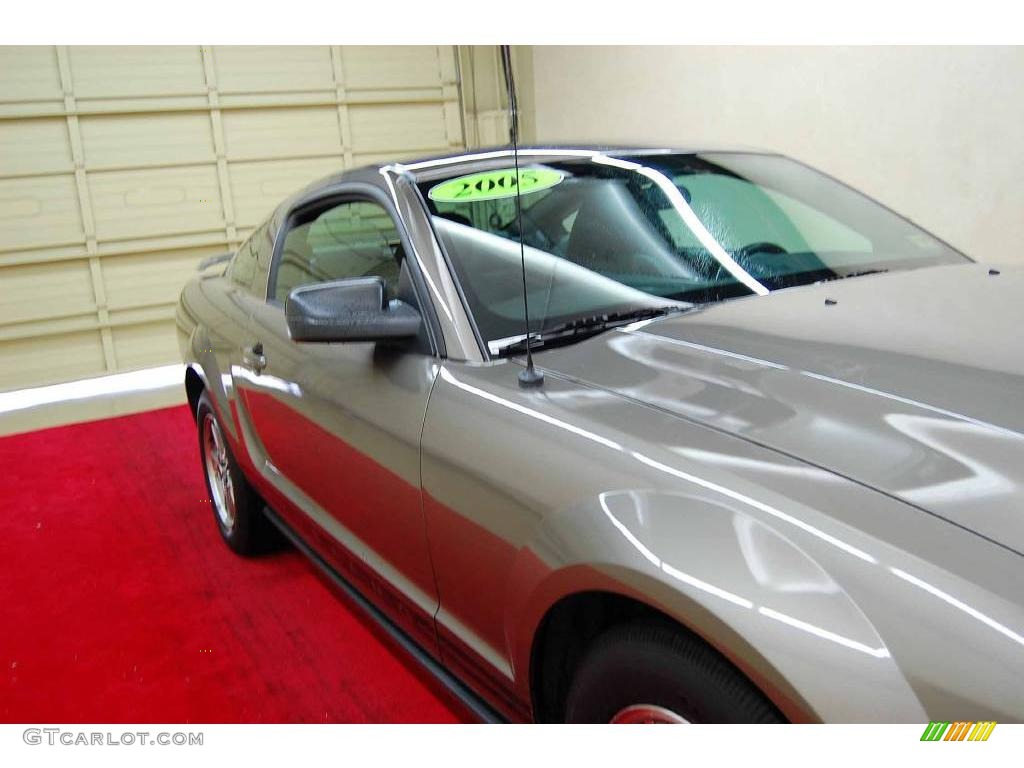 2005 Mustang V6 Premium Coupe - Mineral Grey Metallic / Dark Charcoal photo #14