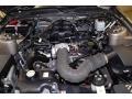 2005 Mineral Grey Metallic Ford Mustang V6 Premium Coupe  photo #27