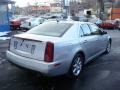 2006 Light Platinum Cadillac STS V6  photo #5