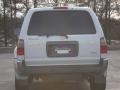 Millennium Silver Metallic - 4Runner SR5 Photo No. 8
