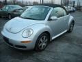 Reflex Silver - New Beetle 2.5 Convertible Photo No. 1