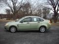Kiwi Green - Focus SE Sedan Photo No. 2