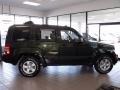 2010 Natural Green Pearl Jeep Liberty Sport  photo #6