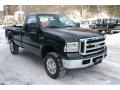 Dark Green Satin Metallic - F250 Super Duty XLT Regular Cab 4x4 Photo No. 15