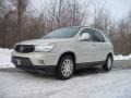 Cappuccino Frost Metallic 2006 Buick Rendezvous CX AWD