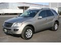 Pewter Metallic - ML 350 4Matic Photo No. 1