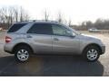Pewter Metallic - ML 350 4Matic Photo No. 4