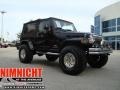 2004 Black Jeep Wrangler Unlimited 4x4  photo #8