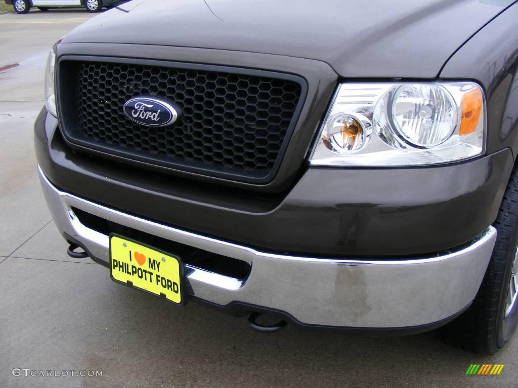 2006 F150 XLT SuperCrew 4x4 - Dark Shadow Grey Metallic / Tan photo #11