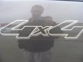 2006 Dark Shadow Grey Metallic Ford F150 XLT SuperCrew 4x4  photo #20