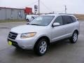 2008 Bright Silver Hyundai Santa Fe SE  photo #7