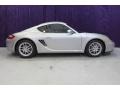 Arctic Silver Metallic - Cayman  Photo No. 2