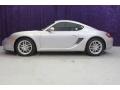 Arctic Silver Metallic - Cayman  Photo No. 4