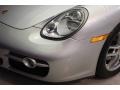 Arctic Silver Metallic - Cayman  Photo No. 26