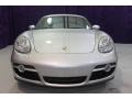 Arctic Silver Metallic - Cayman  Photo No. 38