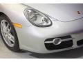 Arctic Silver Metallic - Cayman  Photo No. 44