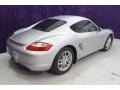 Arctic Silver Metallic - Cayman  Photo No. 46