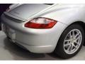Arctic Silver Metallic - Cayman  Photo No. 47