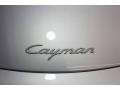 Arctic Silver Metallic - Cayman  Photo No. 48