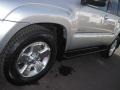 Titanium Metallic - 4Runner SR5 4x4 Photo No. 25