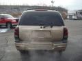 Sandstone Metallic - TrailBlazer LS 4x4 Photo No. 4