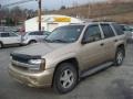 Sandstone Metallic - TrailBlazer LS 4x4 Photo No. 7