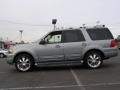 Pewter Metallic - Expedition Limited 4x4 Photo No. 3
