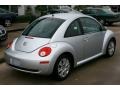 Reflex Silver - New Beetle S Coupe Photo No. 10