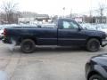 2006 Dark Blue Metallic Chevrolet Silverado 1500 LS Regular Cab  photo #4