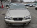 2002 Champagne Beige Hyundai Elantra GLS Sedan  photo #1