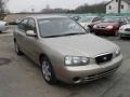2002 Champagne Beige Hyundai Elantra GLS Sedan  photo #3