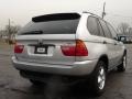 2001 Titanium Silver Metallic BMW X5 3.0i  photo #3