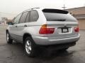 2001 Titanium Silver Metallic BMW X5 3.0i  photo #4