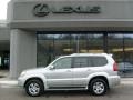 Silver Pine Metallic - GX 470 Photo No. 2