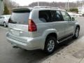 Silver Pine Metallic - GX 470 Photo No. 5