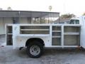 2006 Oxford White Ford F350 Super Duty XL Regular Cab 4x4 Chassis  photo #14