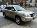 Savannah Metallic - RX 350 AWD Photo No. 3