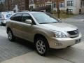 2008 Savannah Metallic Lexus RX 350 AWD  photo #3