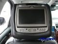 Quicksilver - Escalade EXT AWD Photo No. 15