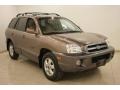 2006 Mocha Frost Hyundai Santa Fe GLS #25501196