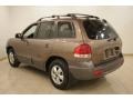 2006 Mocha Frost Hyundai Santa Fe GLS  photo #5