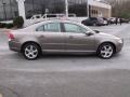 Oyster Gray Metallic - S80 T6 AWD Photo No. 6