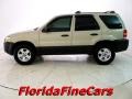 2005 Gold Ash Metallic Ford Escape XLT V6  photo #3