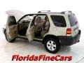 2005 Gold Ash Metallic Ford Escape XLT V6  photo #8