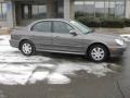 Slate Gray - Sonata GLS V6 Photo No. 1